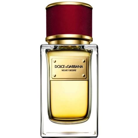 note velvet desire dolce gabbana|dolce and gabbana unisex perfume.